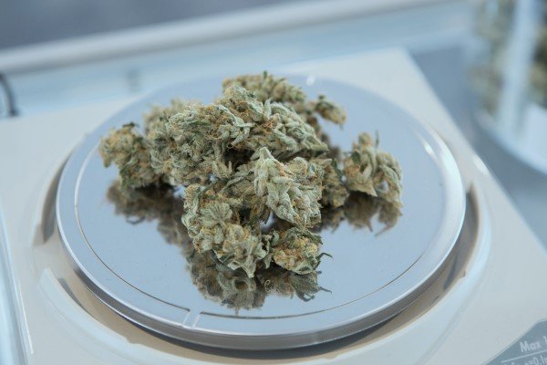 Cannabis Cookie Edibles